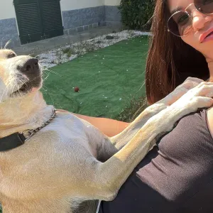 Cerco donna, pulizie in casa