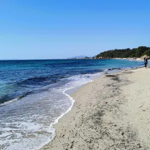 Aide aux gestes de la vie quotidienne