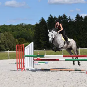 Je cherche une femme de ménage à domicile