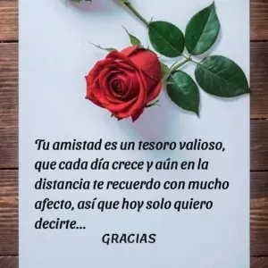 Empleada de limpieza en sevilla capital