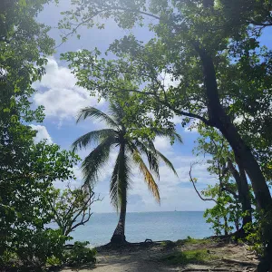 Pet sitter 34300 Agde, secteur cap grau tama