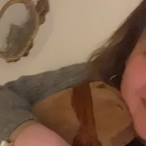 Licentura en contabilidad en francia