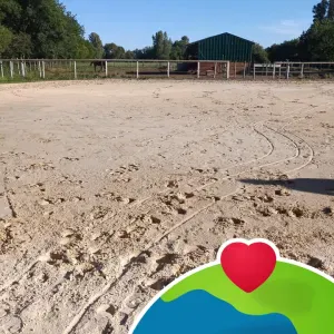 Arles13200 entretien nettoyage 