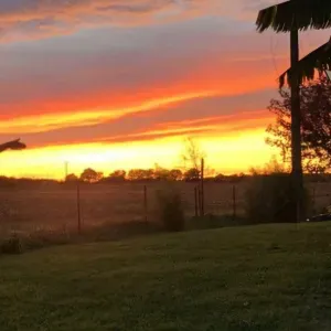 Aide ménagère à domicile des particuliers.