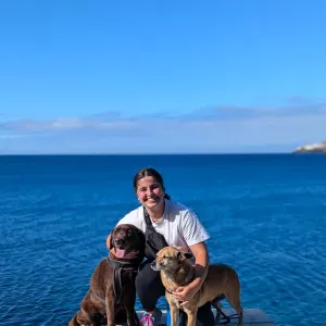 Pet sitting na zona da Covilhã