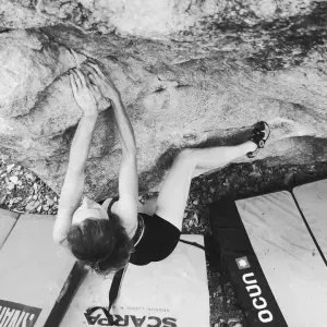 Poste pour un(e) cat-sitter - Petsitter à Sassenage