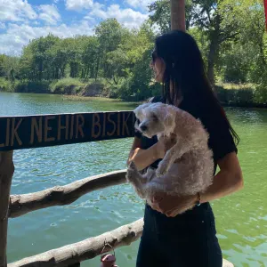 Djurpassning Pett Sitting Dog Sitting