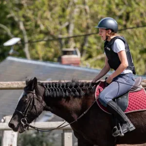 le bonheur grâce aux animaux avec leurs amours 