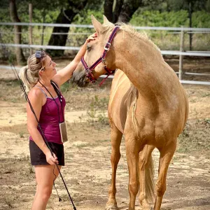 Femme de ménage minutieuse le Boulou et alentours 