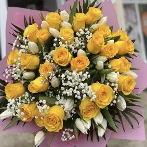 Colf, pulizie etc solo giorno