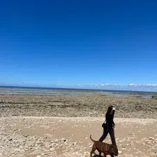 Pet-sitter dédiée à vos animaux 