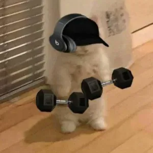 Garde d'animaux et promenades – Fiable et attentionné !