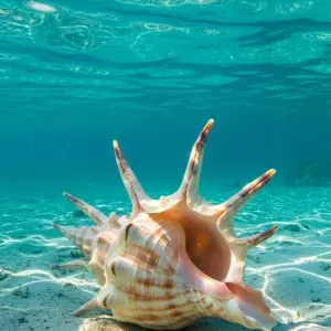 Garde d'enfants à domicile