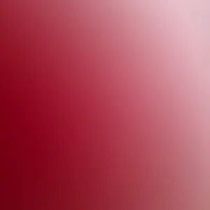 Pet.sister anzin et aux alentours