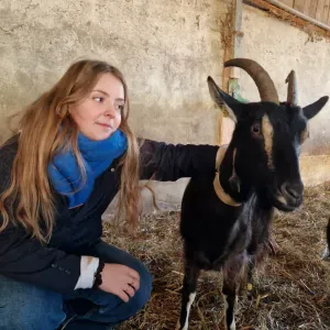 Pet sitter à Tourlaville, au plaisir de voir vos loulous !