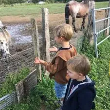 Sortie école 3 fois par semaine