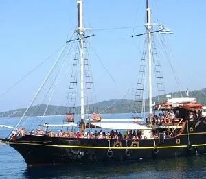 Job dame de confiance