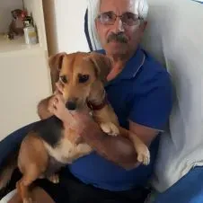 custodia per un giorno del mio cane