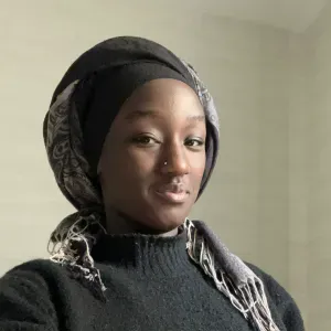 Baby-sitter expérimenté à Ezanville et ses Alentours 