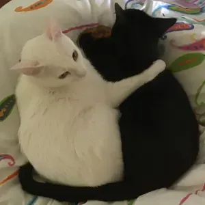 Masha fala muito e Marley e muito gouloso