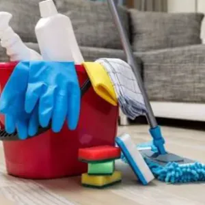 Femme sérieuse propose ménage à domicile