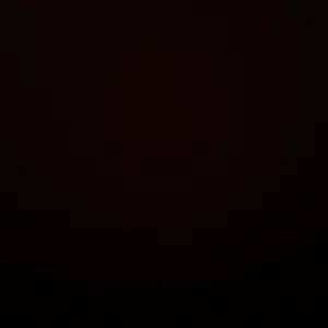 Recherche professionnelle du ménage 