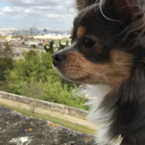 Cherche petit bout de chou à garder