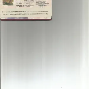 Pulizia bisogni cane maltese.