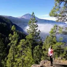 Me ofrezco como limpiadora de casas