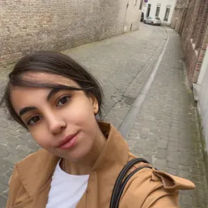 Bonjour veut devenir babysitter en France 