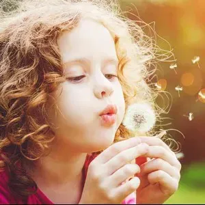 Aide à domicile expérimentée quimperlé et alentours 