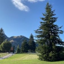 Pet-sitter attentionnée et expérimentée à Fribourg