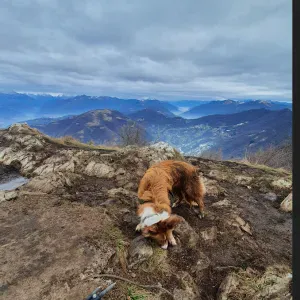 Offerta di lavoro per addetto alla pulizia a Cenate Sopra
