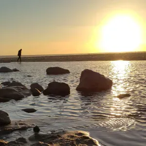 Limpezas para contratar