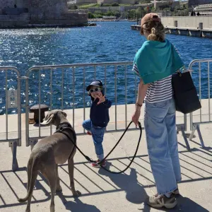 Nounou / garde aprés l'école