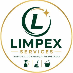 Empregada de limpeza responsável e detalhista em Gondomar