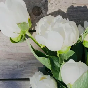 Aide aux devoirs et accompagnement inclusif