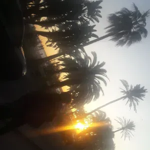 🌸 Auxiliaire de vie expérimentée – Genève & Nyon 🌸