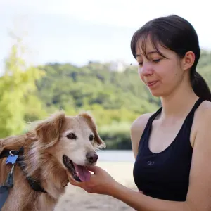 Pet Sitting em Coimbra | Cuidados e Carinho com o seu Patudo