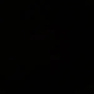 Pet-Sitter à Strasbourg pour l'été 