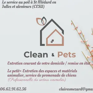 Aide ménagère à St Médard en Jalles 