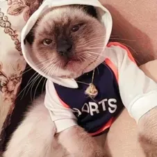 Pet-sitter a l'oise 60 , exprimentée et passionnée 