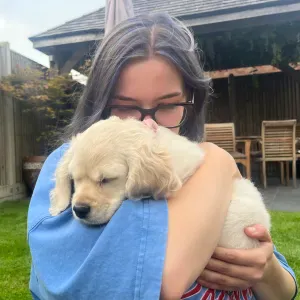 Pet-Sitter Lyonnaise ! Je veux garder vos animaux !