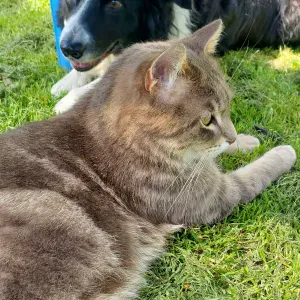 visite - promenade région saint jean le blanc (45)