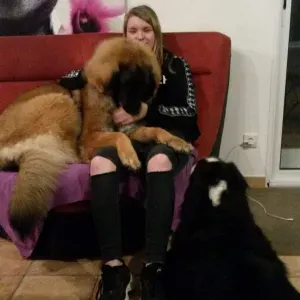 Pet Sitter a Bourges et alentours