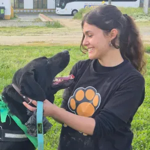 Pet sitting em no concelho de Évora 