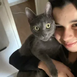 Baby-sitter titulaire du BAFA à Draguignan