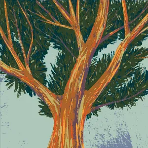 Aide ménagère avant état des lieux de sortie