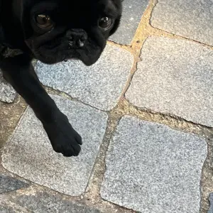 Je recherche une garde d'enfant