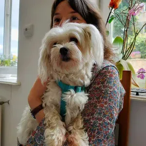 pet Sitter vindry sur turdine garde de chien et rongeurs